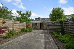 Tormentil 5 Castricum De Groot 17.JPG